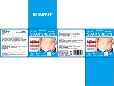 1 (Dermfree Scar Sheets)